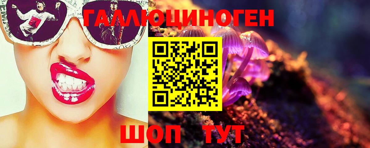 Киселёвск  Псилоцибиновые грибы MAGIC MUSHROOMS  где найти наркотики  Вход с VPN 